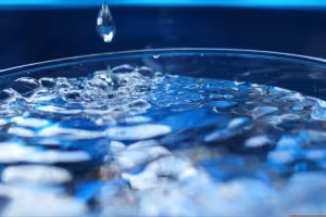 VALVE WORLD EXPO 2024: Digital Transformation Drives the Water Transition