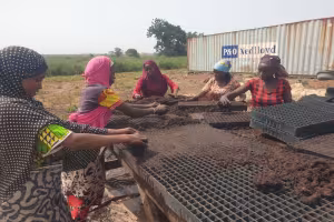 Tomato Jos Wins SAVE FOOD Project Award 2024 for Reducing Food Loss in Nigeria