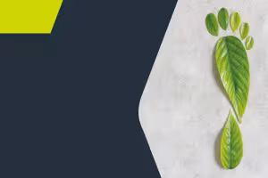 KaVo Commits to a Greener Future with Ambitious Sustainability Plan