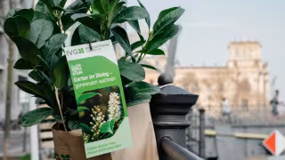IVG Welcomes Coalition Agreement but Urges Action on Key Green Industry Issues