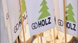Branchentag Holz 2025: Cologne’s timber trade hub returns with market insights, “Neues Bauen” focus, and the GD Holz Forum