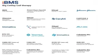 Six Cell Therapy Holdouts Double Down on CAR T and Autoimmune Plays as Big Pharma Retreats