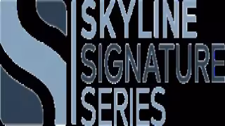 Youlife Group Chief Strategy Officer to Present at Skyline Webinar