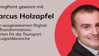 BearingPoint Hires Ex-DB Systel Manager Holzapfel as Director