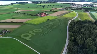pro aurum Seeds 8-Hectare Logo in Precision Agriculture Branding Push