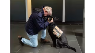 CACI to Fund Up to 8 Service Dogs Yearly via Capitals Deal