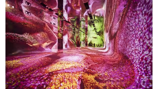 Epson Deploys 84 Laser Projectors for Anadol's AI Art Museum DATALAND