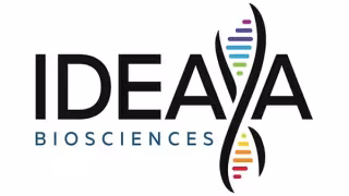 IDEAYA Sets Phase 3 Design for IDE849 After FDA Type C Meeting