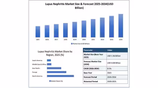 Lupus Nephritis Market to Reach $4.08B by 2034, 8.5% CAGR