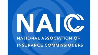 NAIC Details Capital Rule Overhaul After Warren Inquiry on Insurer Risk