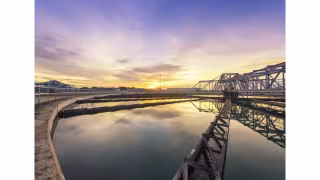 93% of Arizona Voters Back Long-Term Water Investment: CFA Survey