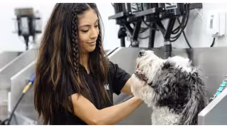 Sparkle Grooming Secures $6M From Mars-Backed Companion Fund