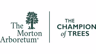 Morton Arboretum Wins Chicago 2050 Urban Design Competition