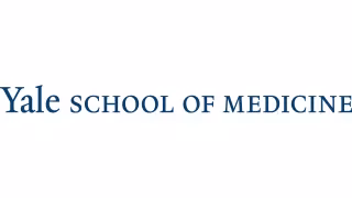 Yale Wins Nearly $25M Grant to Map Brain Development, Autism Origins