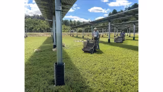 DEI Completes First Cranberry Harvests Under Solar Arrays in Massachusetts