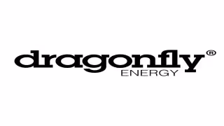 Dragonfly Energy Wins EPO Allowance for Dry Electrode Battery Patent