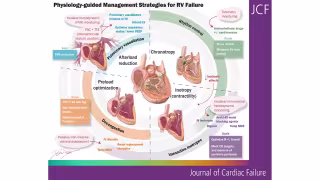 HFSA Defines Right Heart Failure as Distinct Clinical Syndrome