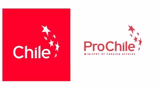 Chile's Seafood Exports Hit $9.19B as ProChile Courts New York