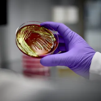 Roche Receives FDA Breakthrough Device Designation for AI-Driven Lung Cancer Diagnostic