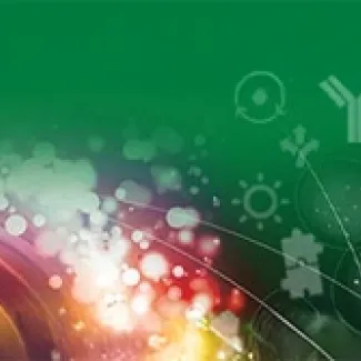 Bio-Rad to Report First Quarter 2025 Financial Results.