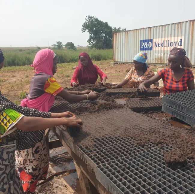 Tomato Jos Wins SAVE FOOD Project Award 2024 for Reducing Food Loss in Nigeria