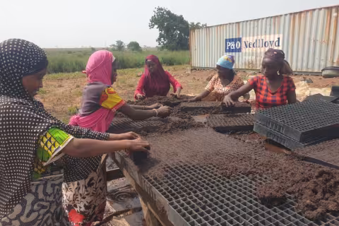 Tomato Jos Wins SAVE FOOD Project Award 2024 for Reducing Food Loss in Nigeria