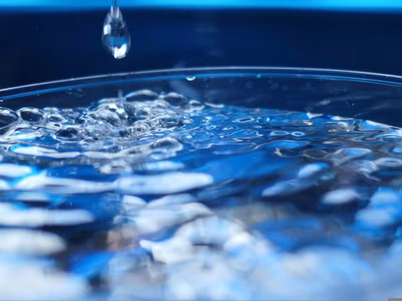 VALVE WORLD EXPO 2024: Digital Transformation Drives the Water Transition