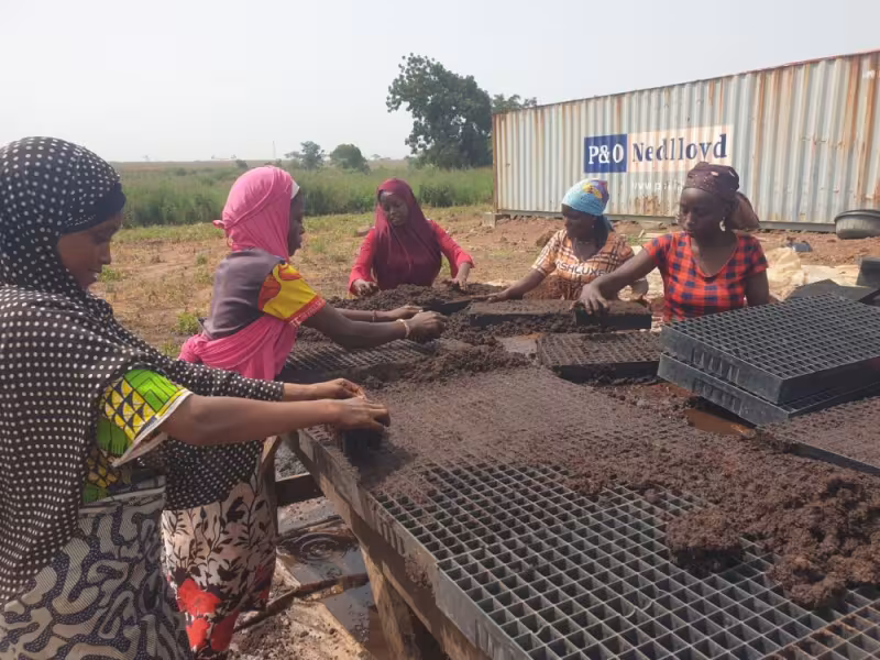 Tomato Jos Wins SAVE FOOD Project Award 2024 for Reducing Food Loss in Nigeria