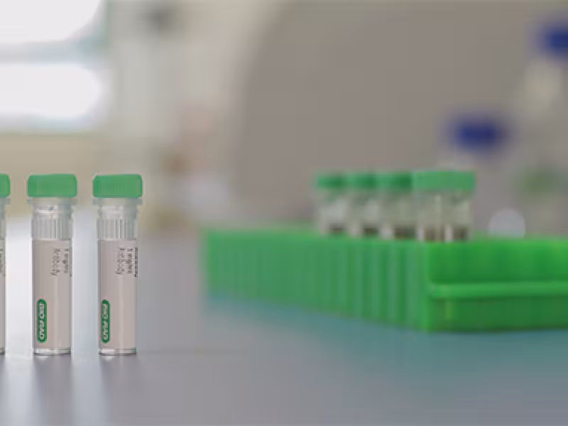 Bio-Rad Expands Anti-Idiotypic Antibody Portfolio and SpyCatcher Reagent Line for Bioanalysis Innovation