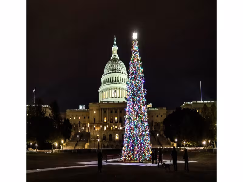 Arrow Tool Group Becomes Diamond Sponsor of 2026 U.S. Capitol Christmas Tree