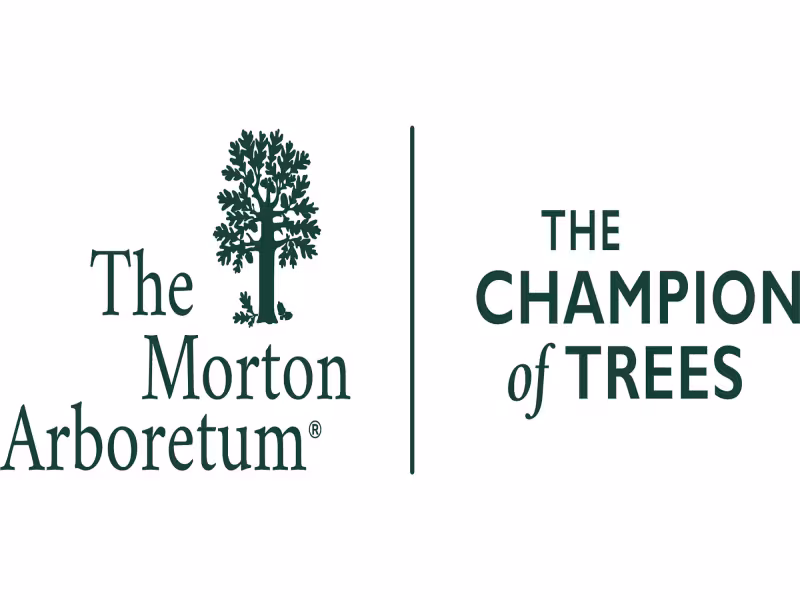 Morton Arboretum Wins Chicago 2050 Urban Design Competition