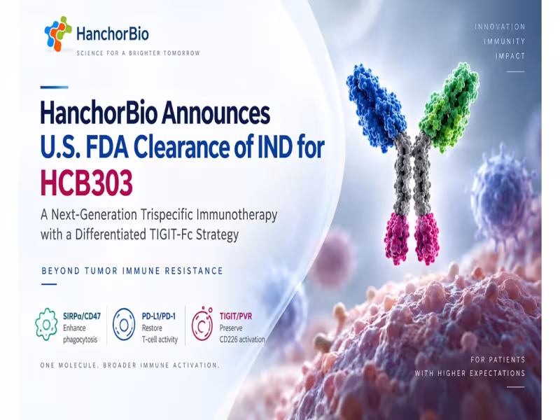 HanchorBio Wins FDA IND Clearance for Trispecific Drug HCB303