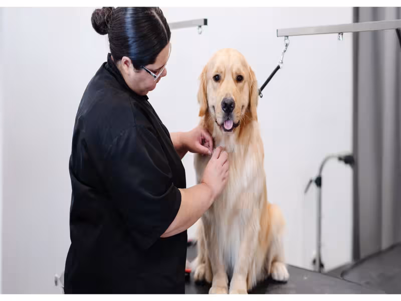 Sparkle Grooming Opens Johns Creek Salon Under Three-Unit Deal