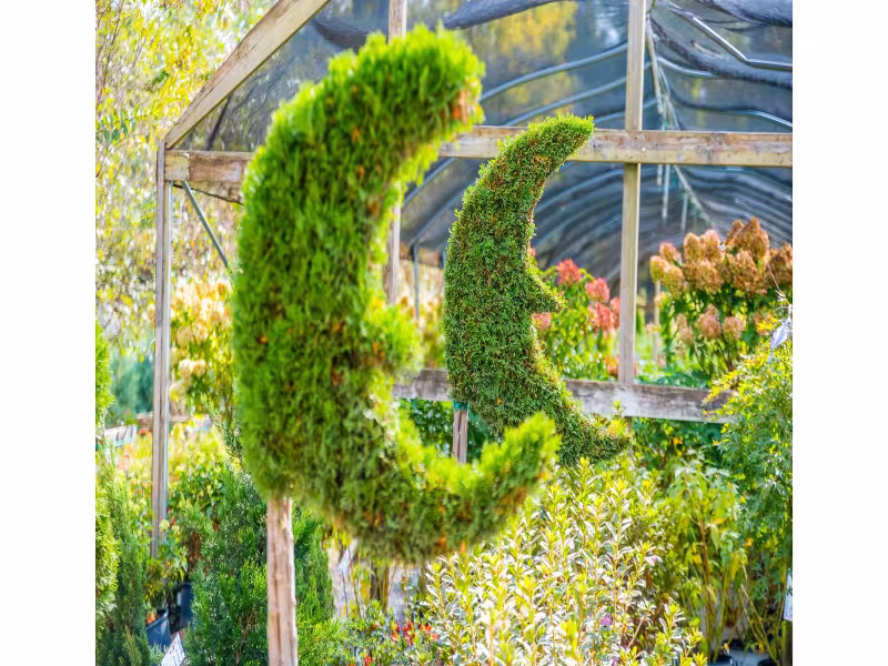 Moon Valley Nurseries Tops 50 Locations, Launches Tree Care Unit